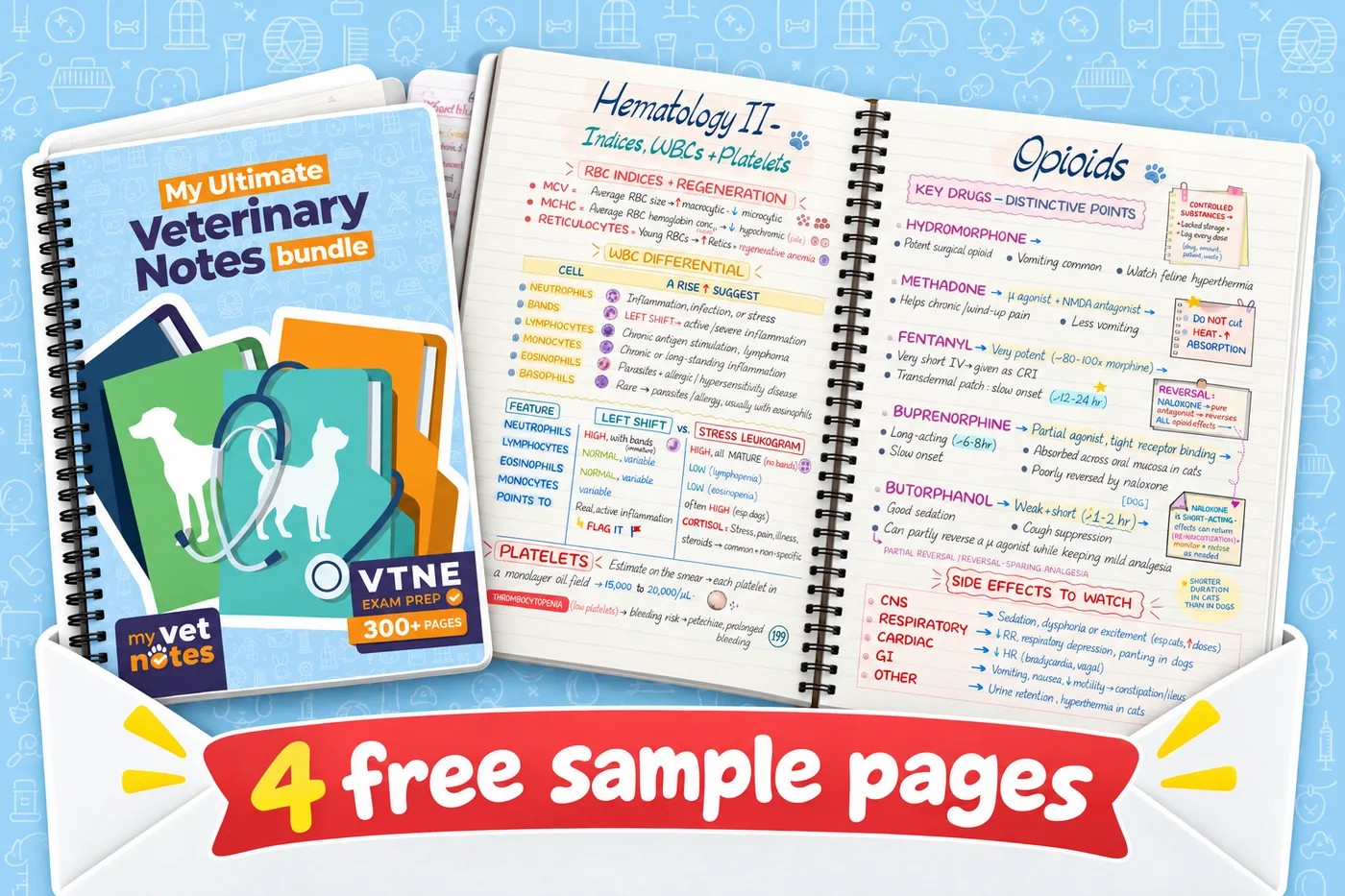 My Ultimate Veterinary Notes Bundle