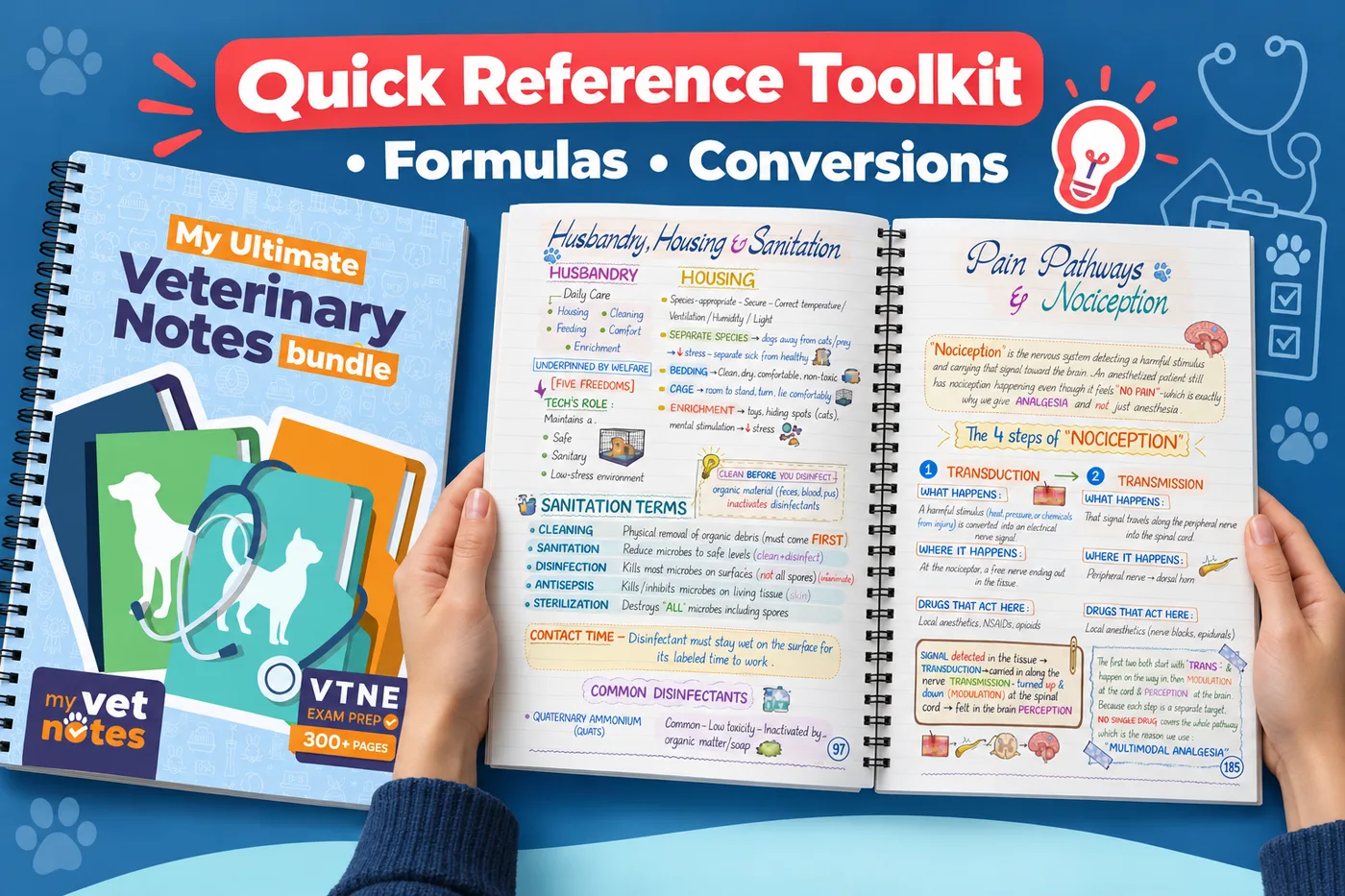 My Ultimate Veterinary Notes Bundle