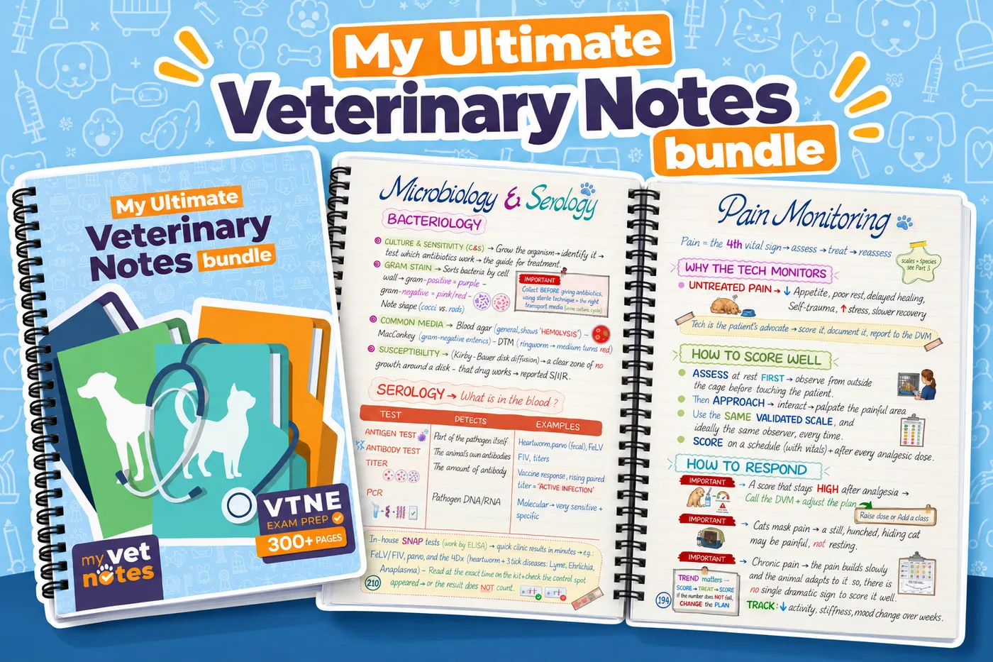 My Ultimate Veterinary Notes Bundle