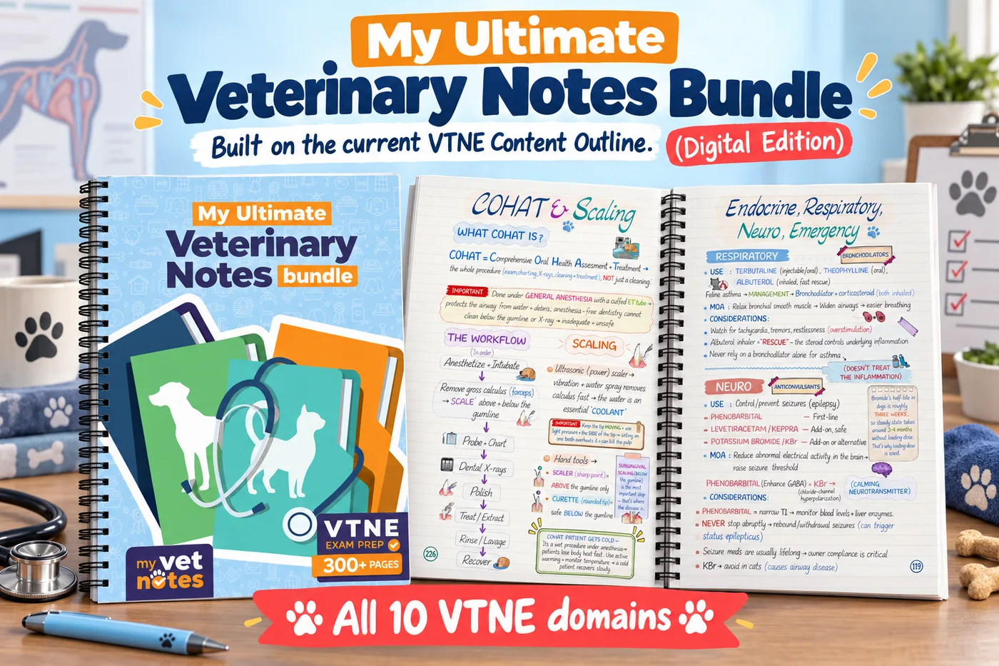 My Ultimate Veterinary Notes Bundle