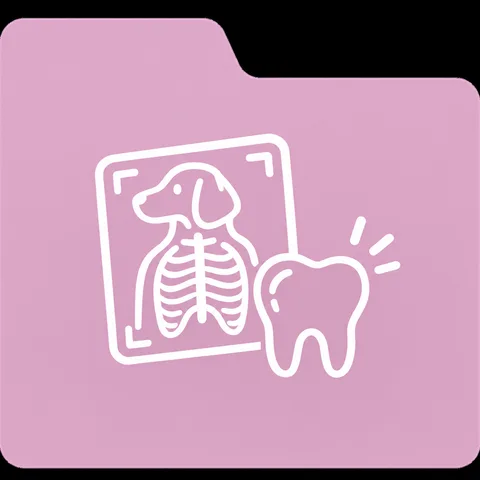 My Ultimate Veterinary Notes Bundle