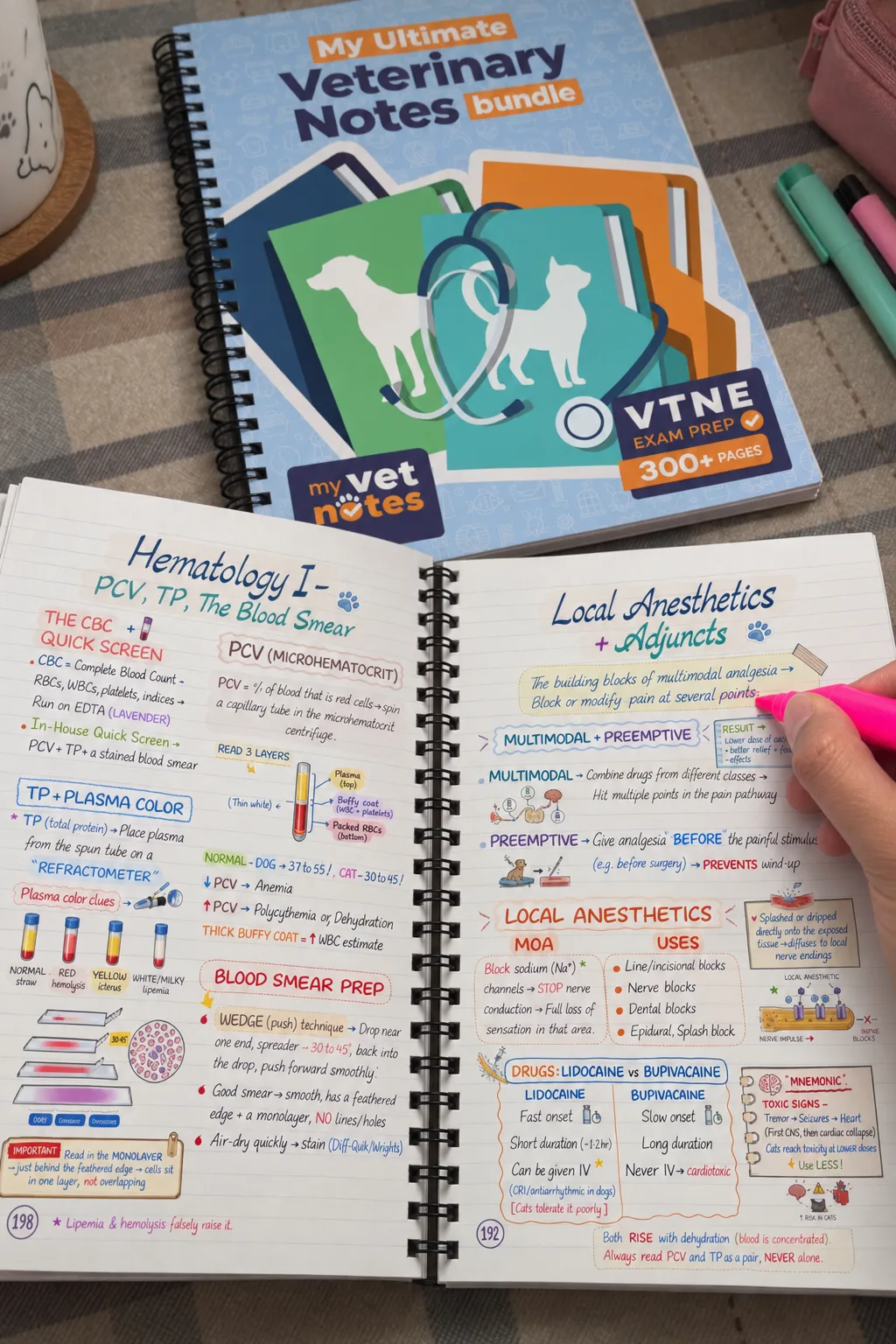 My Ultimate Veterinary Notes Bundle
