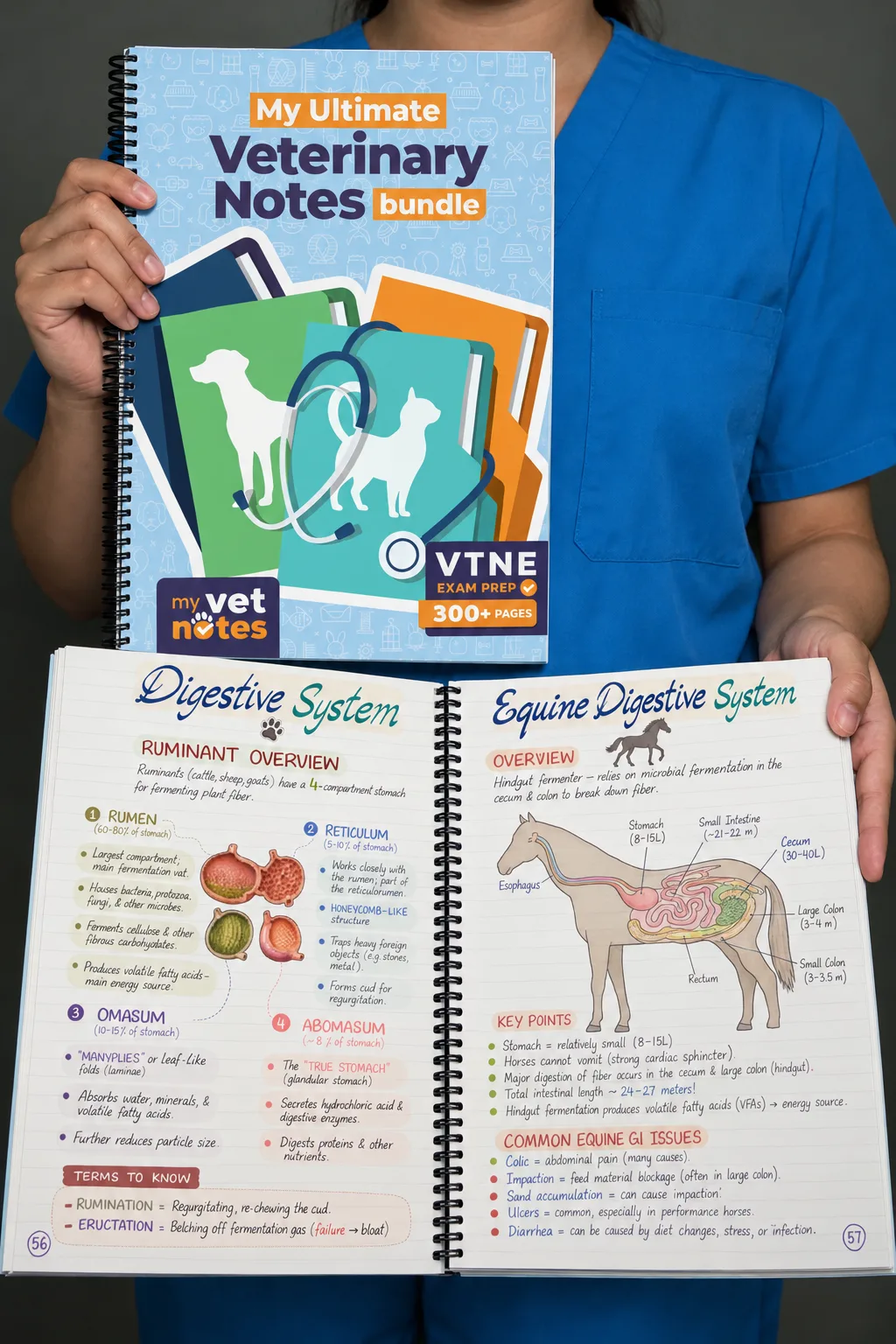 My Ultimate Veterinary Notes Bundle