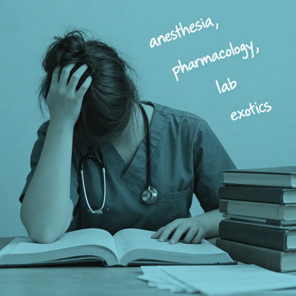 My Ultimate Veterinary Notes Bundle